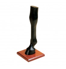 
	High quality leg which attaches to varnished solid wooden bases with a single bolt. A very impres...