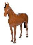 Life Size Display Horse - Brown